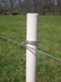 PasturePro 1 1/4in x 72in ProLine Fence Post