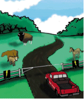 Ecklund Drive Thru Gate - animation